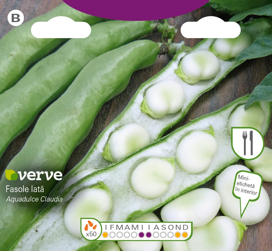 Semințe de fasole lată AD Claudia