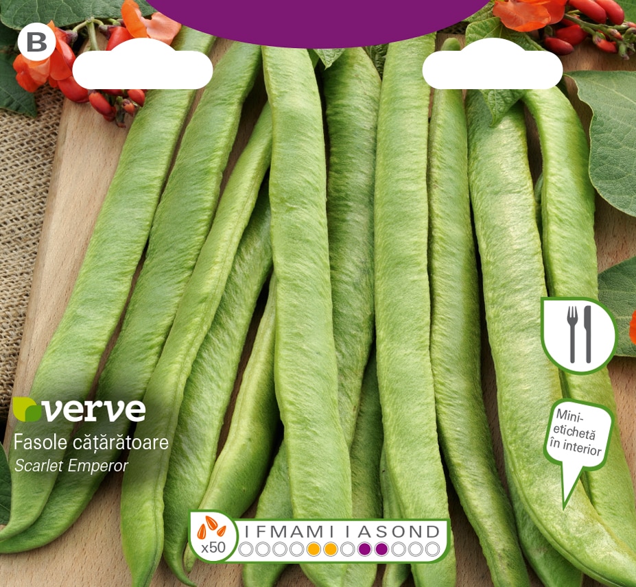 Semințe de fasole cățărătoare Scarlet Emperor