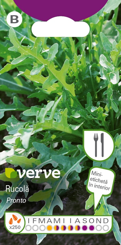 Semințe de rucola Pronto