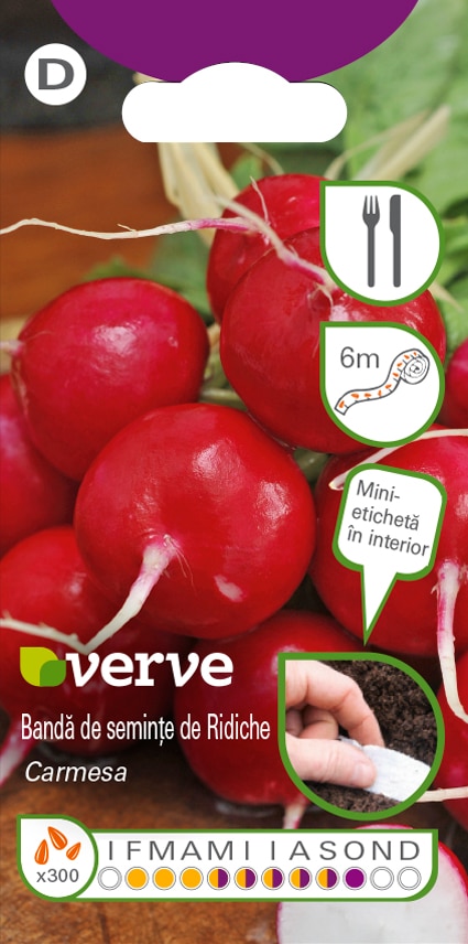 Bandă de semințe de ridiche Carmesa, 6 m