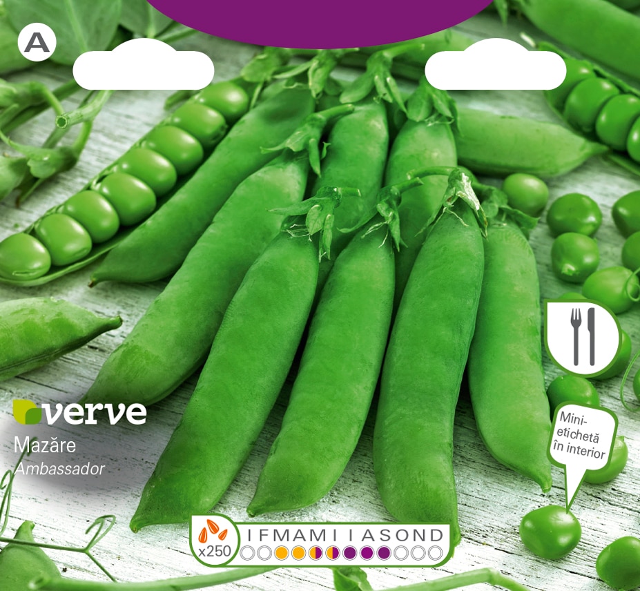 Semințe de mazăre Ambassador