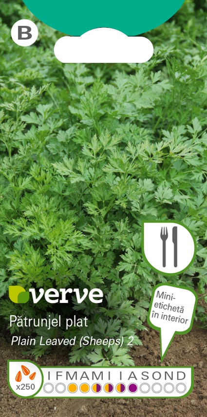 Semințe de pătrunjel plat