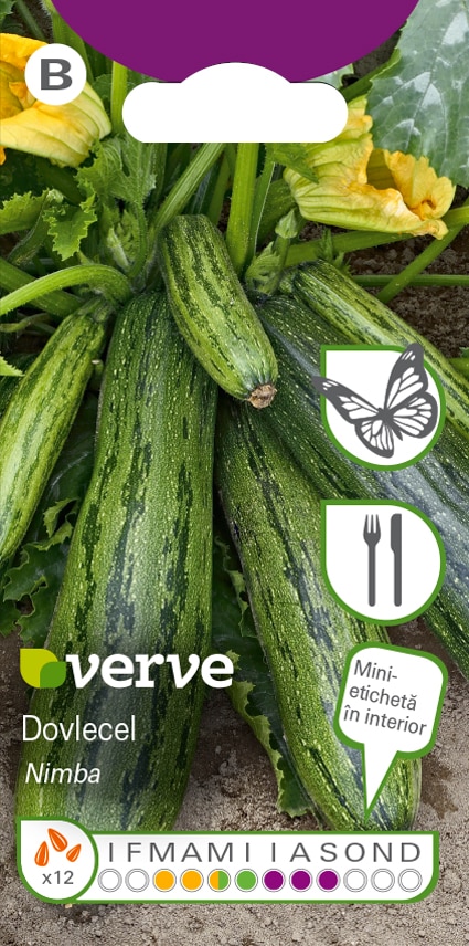 Semințe de dovlecel Nimba