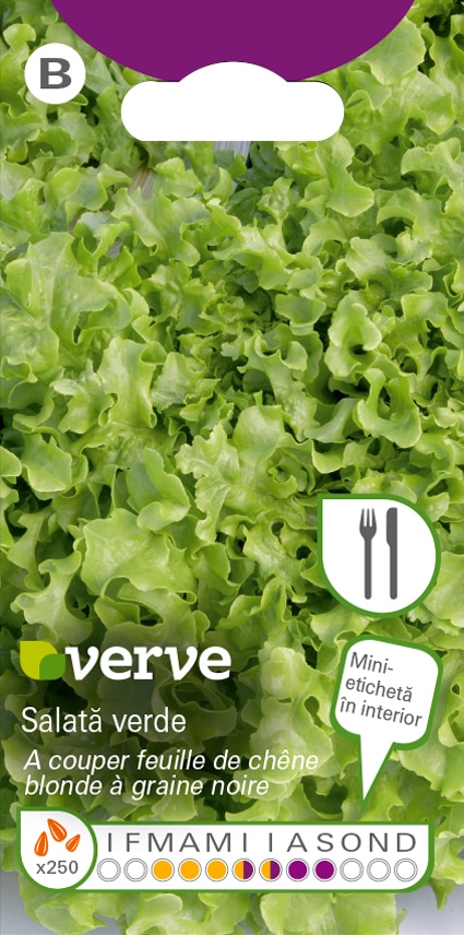 Semințe de salată verde Oak Leaf