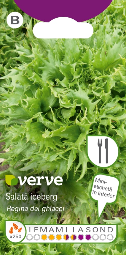 Semințe de salată iceberg Regina Dei Ghiacci