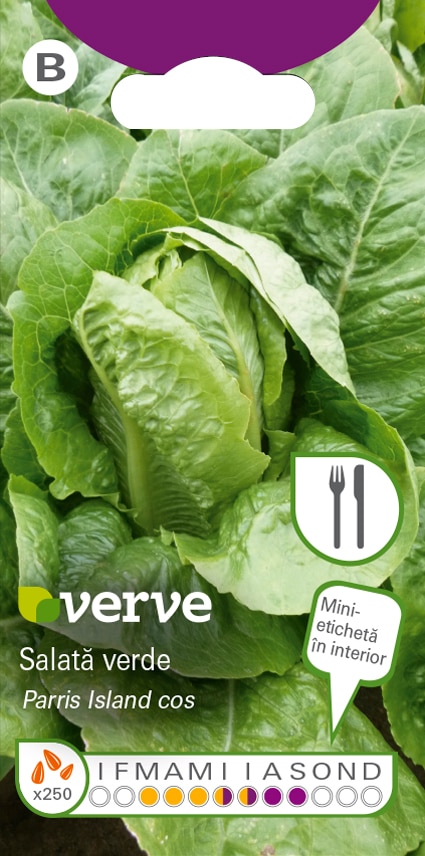 Semințe de salată verde Cos