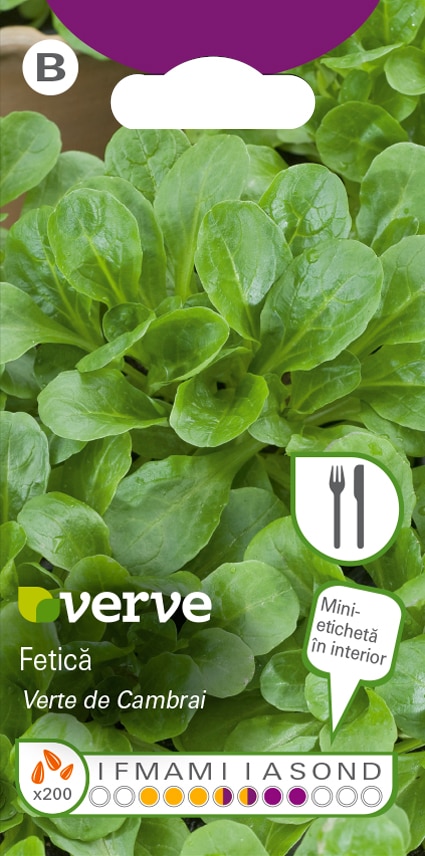 Semințe de salata mielului