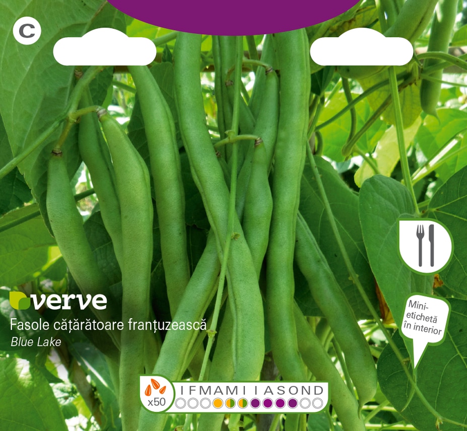Semințe de fasole cățărătoare franțuzească Blue Lake