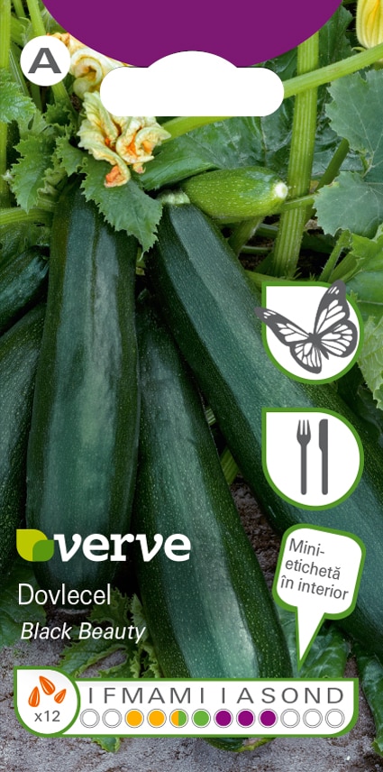 Semințe de dovlecel Black Beauty