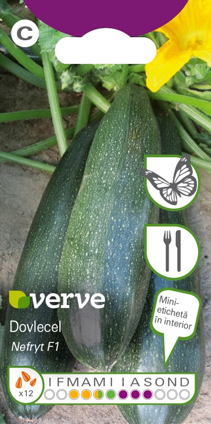 Semințe de dovlecel F1