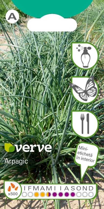 Semințe de cepșoară