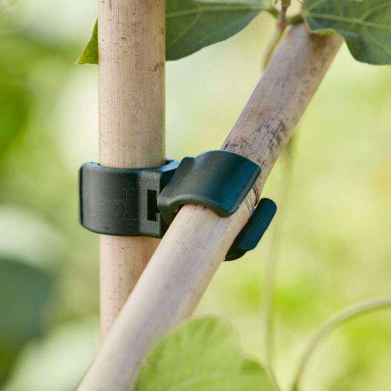 Conectori prindere plante