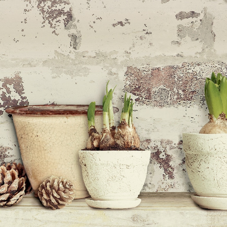 Fototapet clasic, 0.18 x 5 m, multicolor