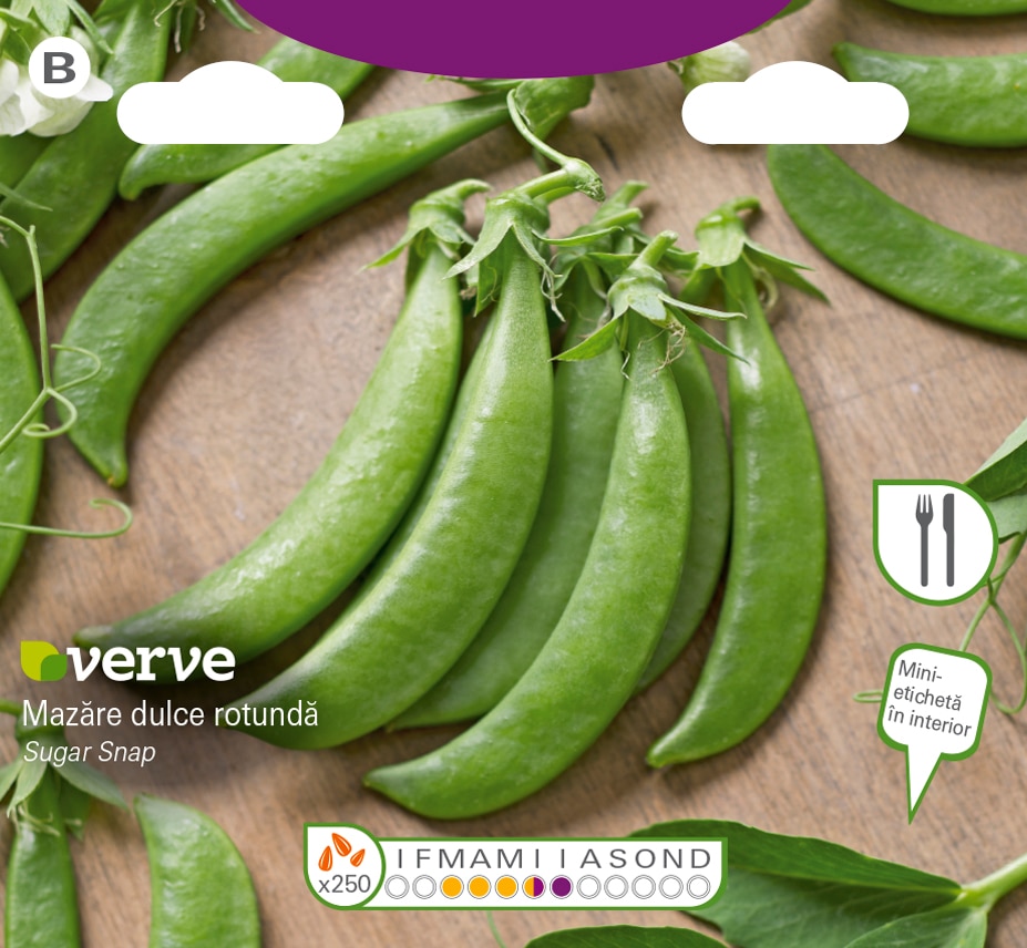 Semințe de mazăre dulce rotundă