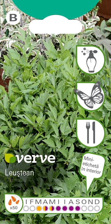 Semințe de leuștean