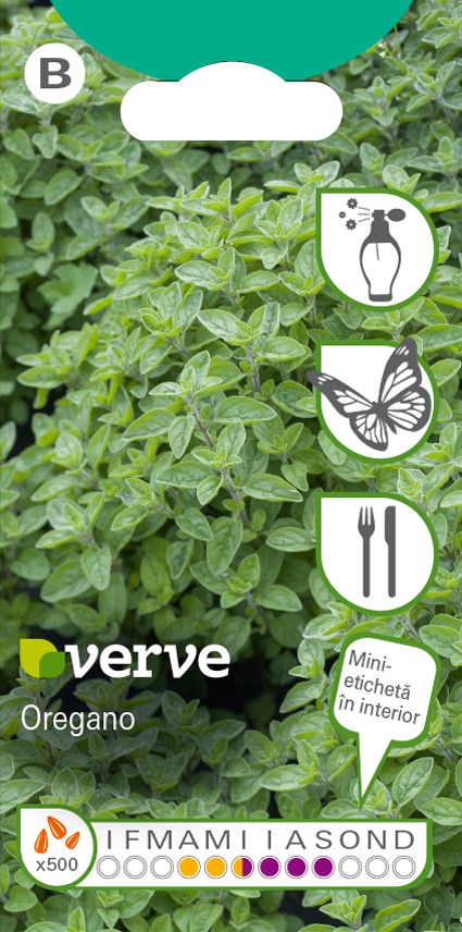 Semințe de oregano