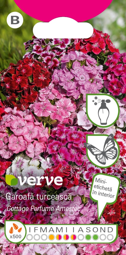 Amestec seminţe de  garoafă turcească