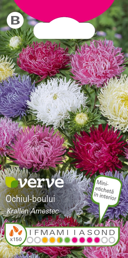 Amestec seminte de Ochiul Boului • Verve