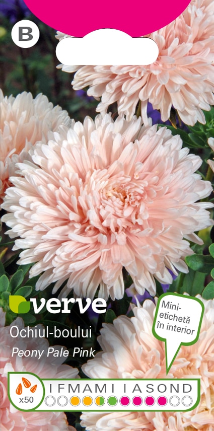 Amestec seminte de Ochiul Boului roz pal • Verve