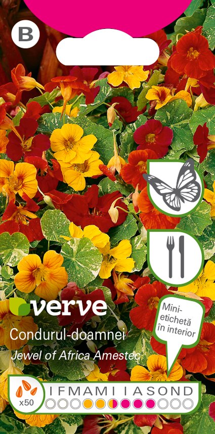 Amestec semințe de condurul-doamnei Jewel of Africa