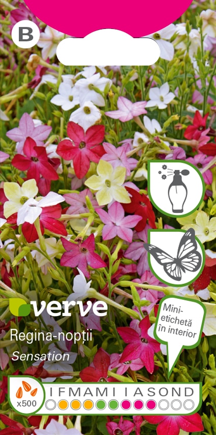 Amestec semințe de regina-nopții