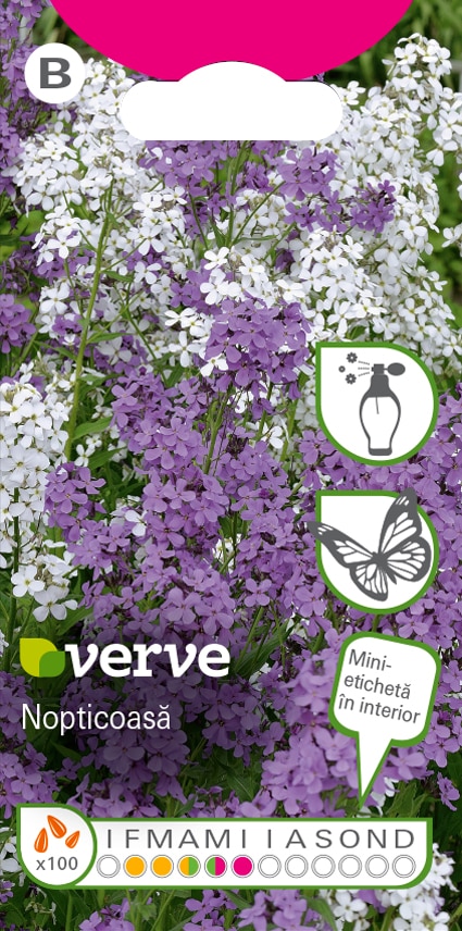 Amestec semințe de nopticoasă