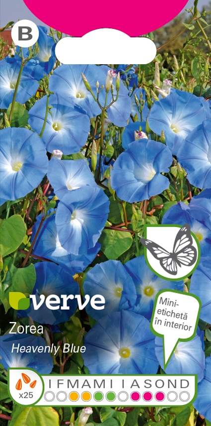 Semințe de zorea Heavenly Blue