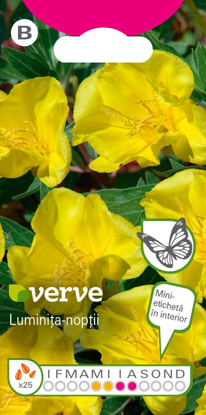 Seminte luminita-noptii galbena • Verve