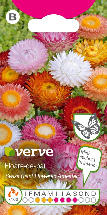 Seminte floare de pai asortate • Verve