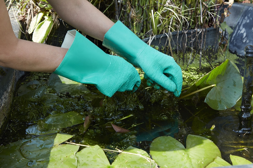 Manusa Verve cu manseta lunga din latex, pentru utilizare intensa, marime L