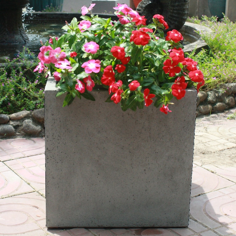 Jardiniera beton, gri, 30 x 30 x 30 cm, forma patrata • Blooma