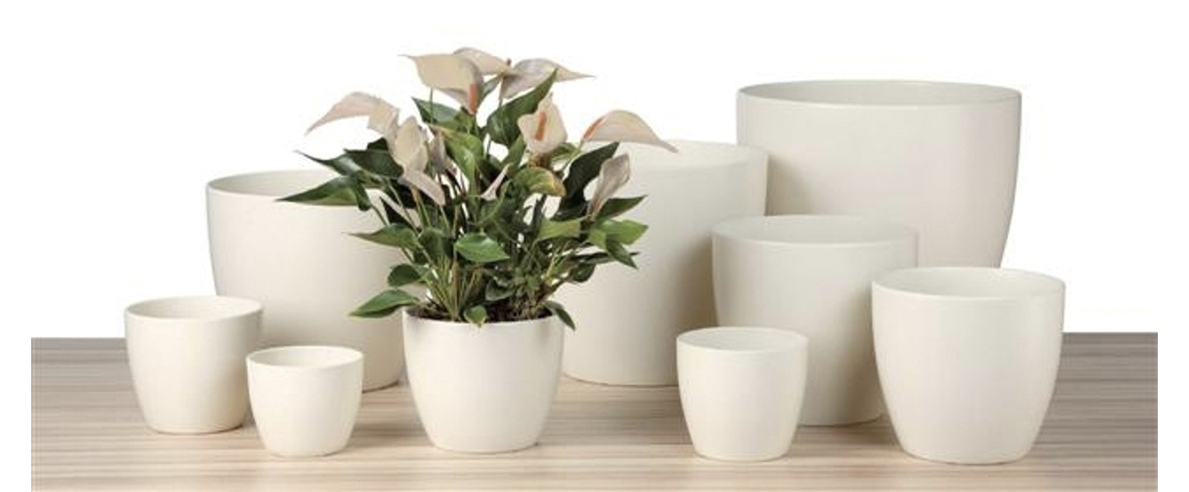 Ghiveci, rotund alb, 22 cm  Scheurich