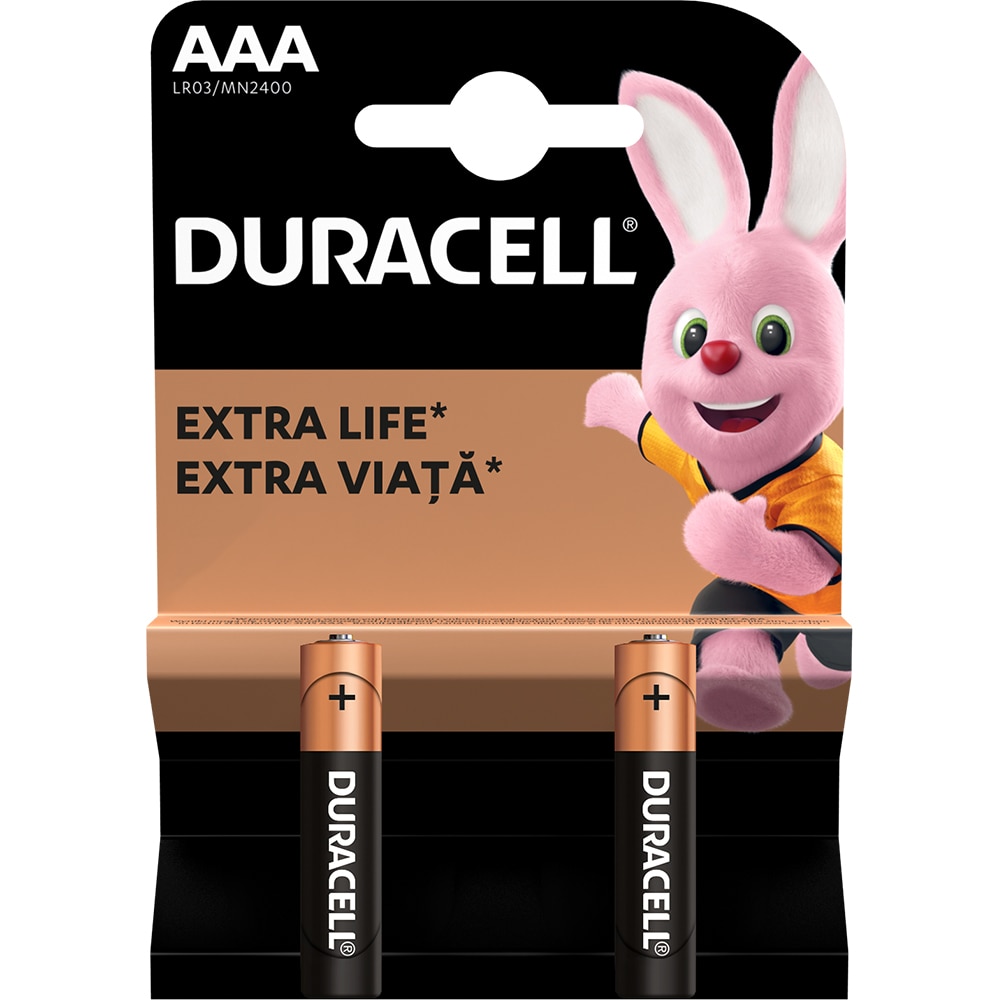 Baterii DURACELL AAAK2 Basic Duralock, 2 bucati