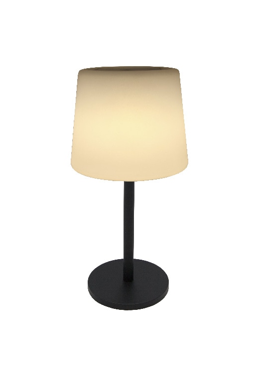 Lampa solara LED, otel inoxidabil, multicolor, 1 bucata, 2 W • Blooma 