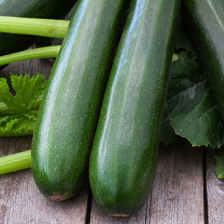 Dovlecel patio 10.5 cm