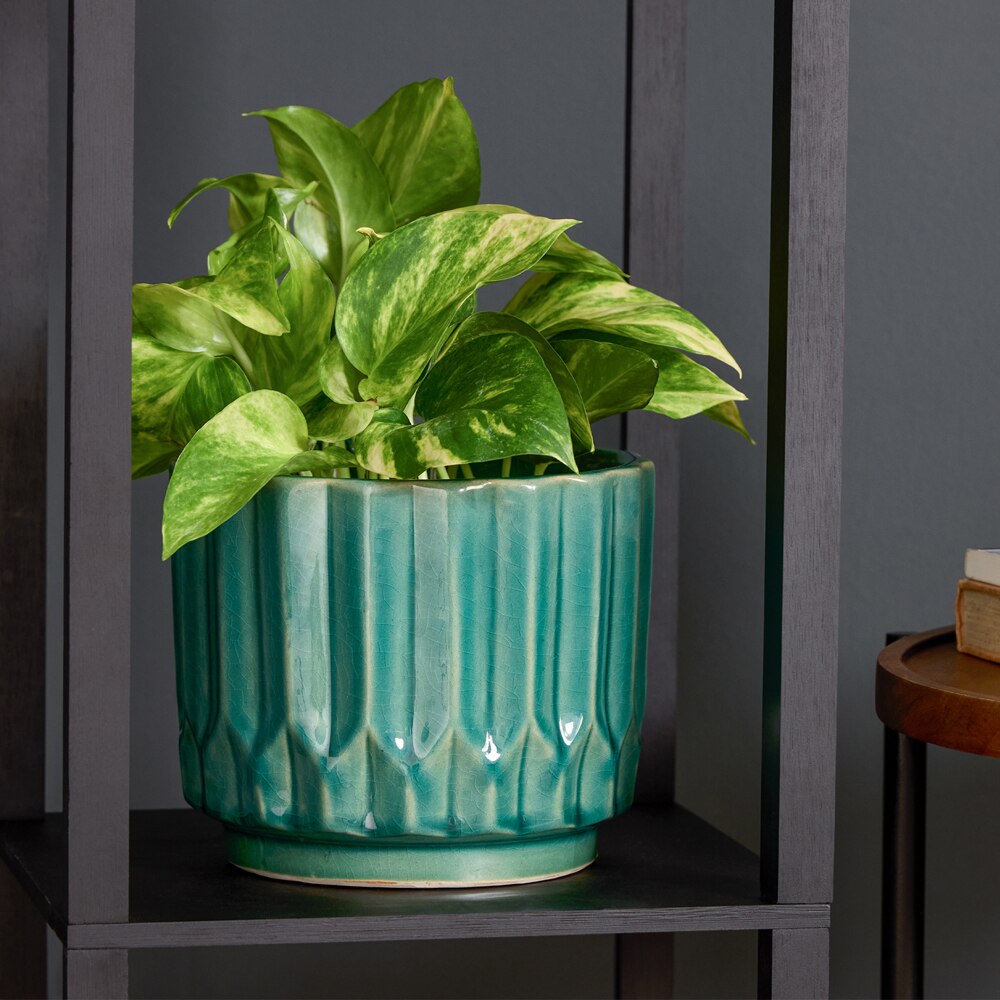 Ghiveci flori VERVE, ceramic, D 17 cm, verde