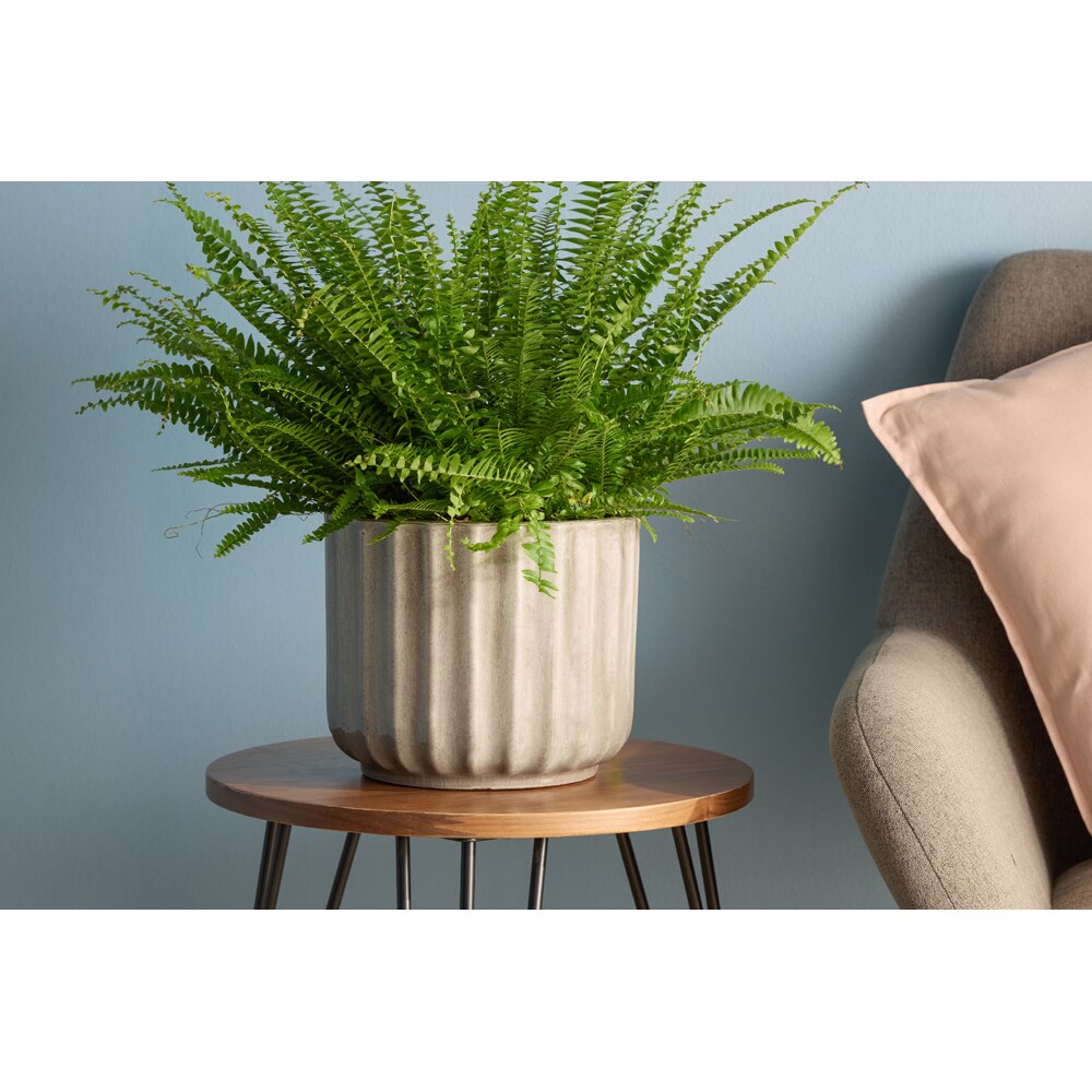 Ghiveci flori VERVE ceramic, D 23 cm, gri argintiu