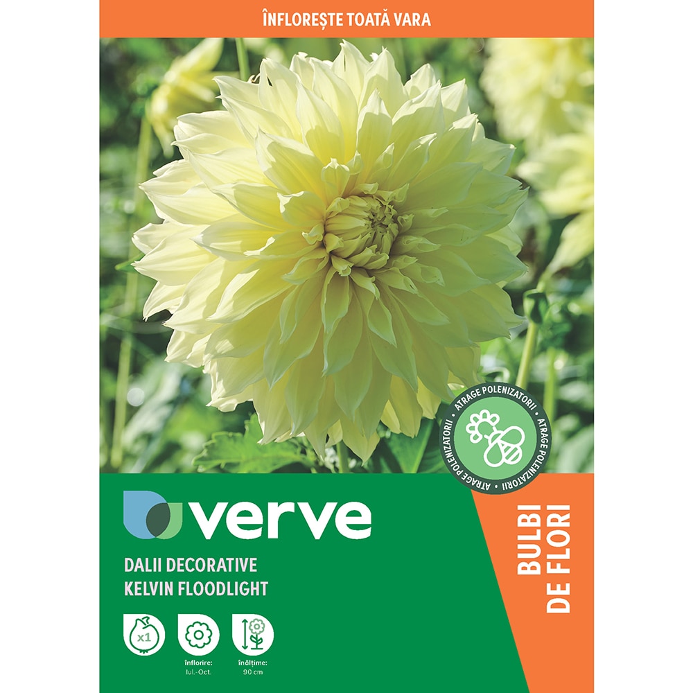 Buldi Dalie decorativa Kelvin Floodlight, galben