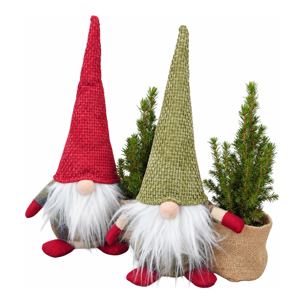 Aranjament plante Gnome, H 40 cm