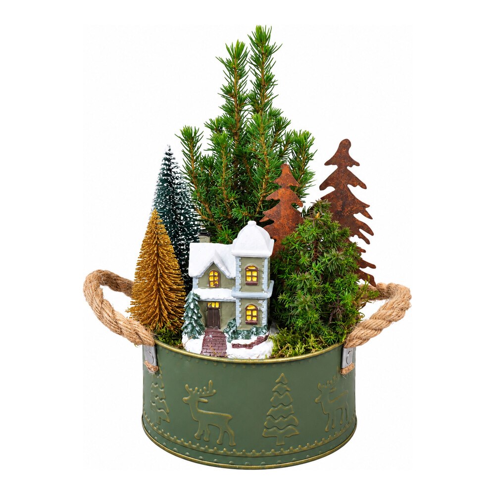 Aranjament plante, ghiveci metalic, H 30 cm