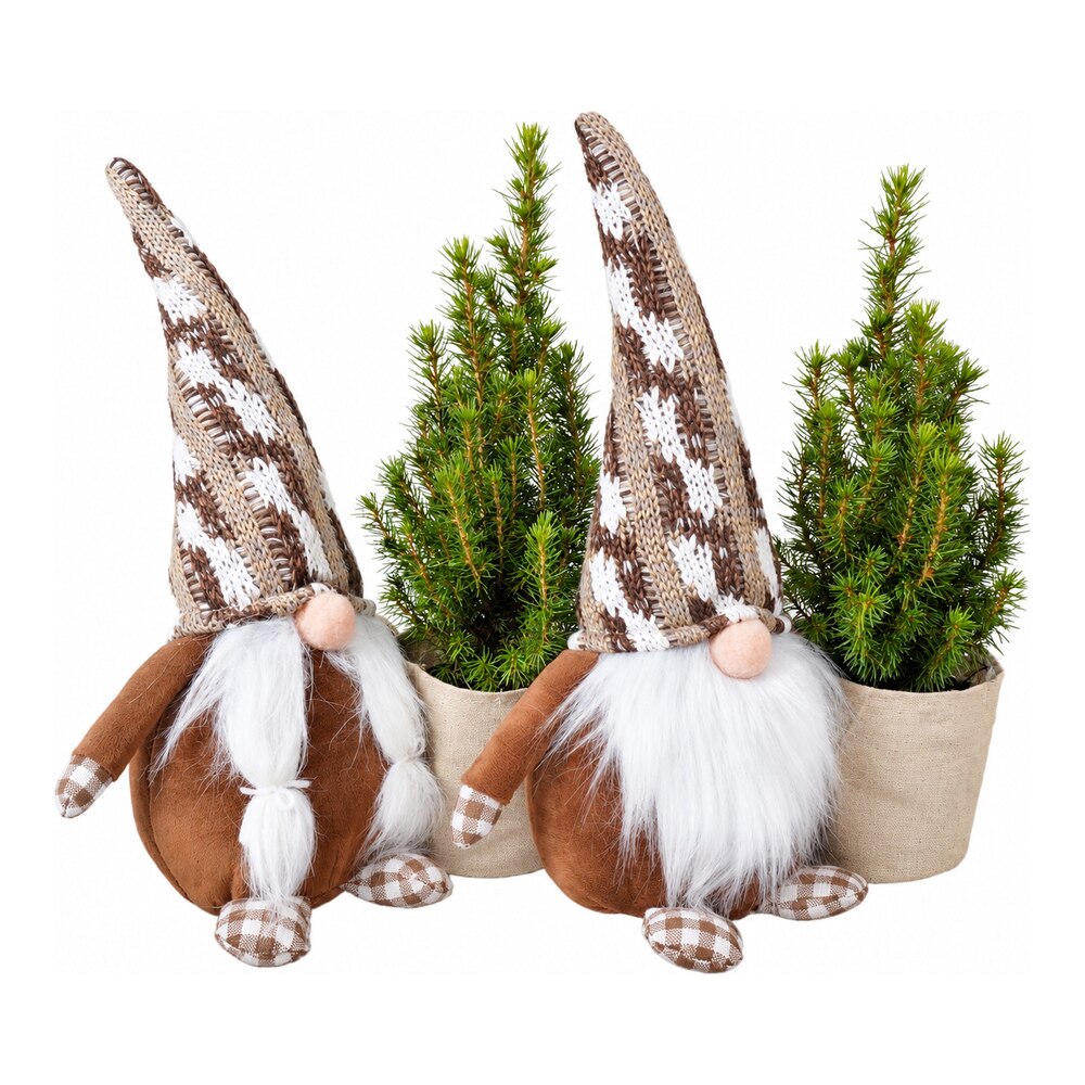 Molid ornamental Gnome, H 40 cm