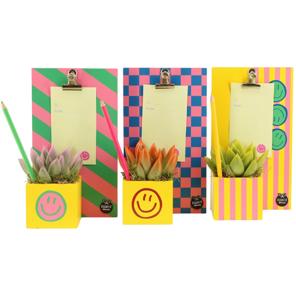 Aranjament floral Smiley, H 23 cm