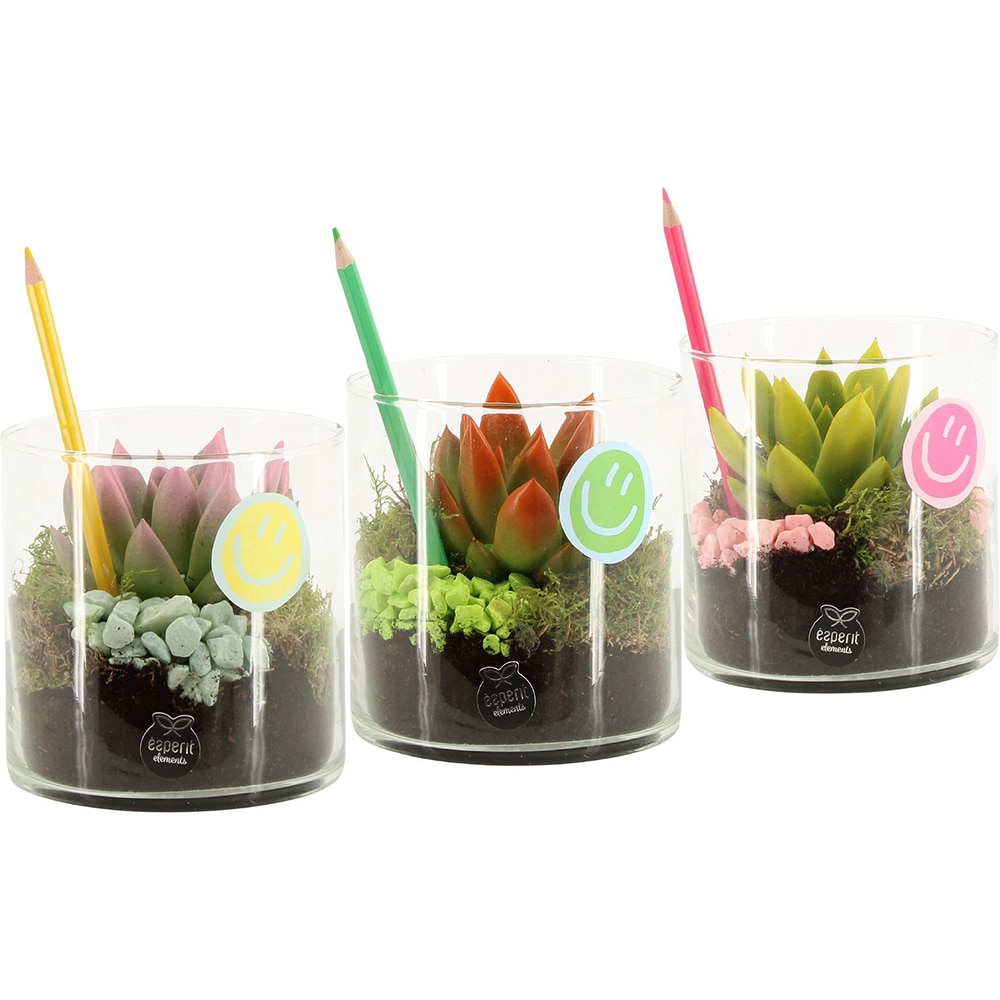 Aranjament floral Love School, D12 cm, H20 cm