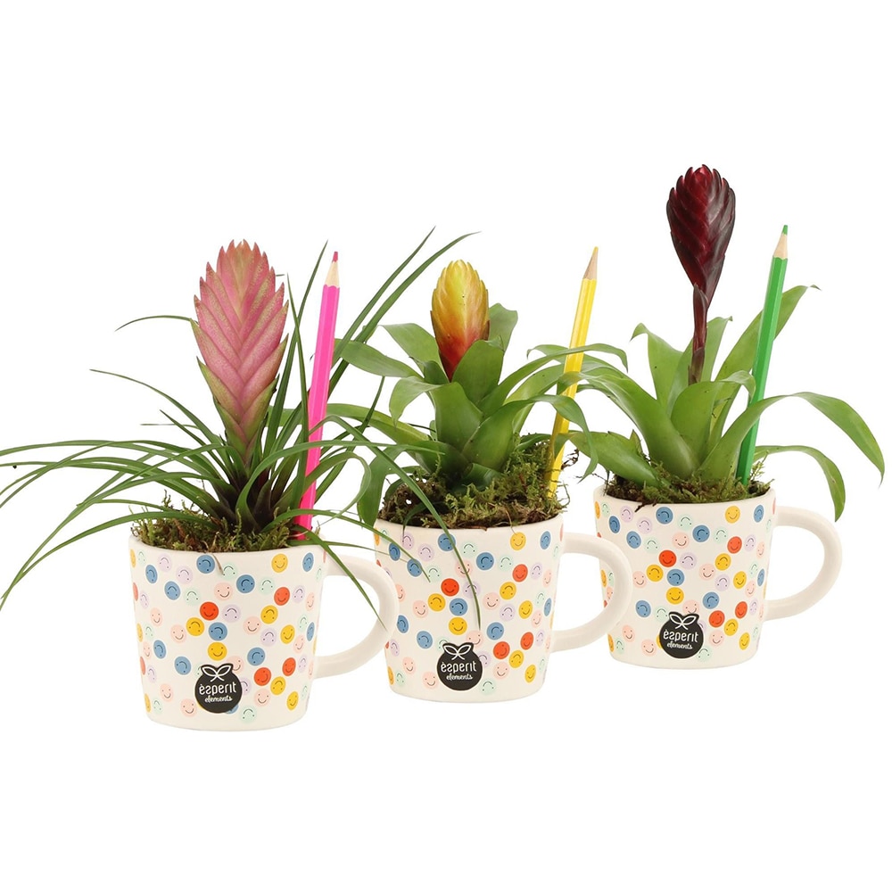 Aranjament floral Love School, D8 cm, H22 cm