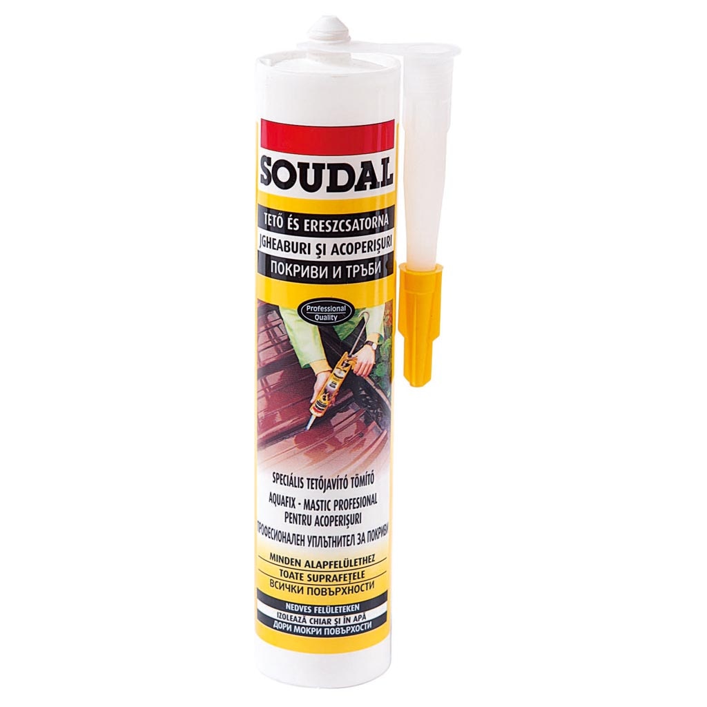 Mastic aquafix 300 ml