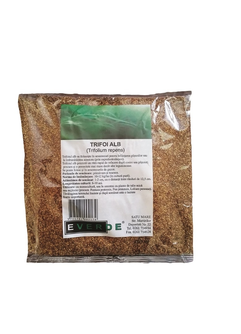 Seminte trifoi alb Everde, 0.5Kg