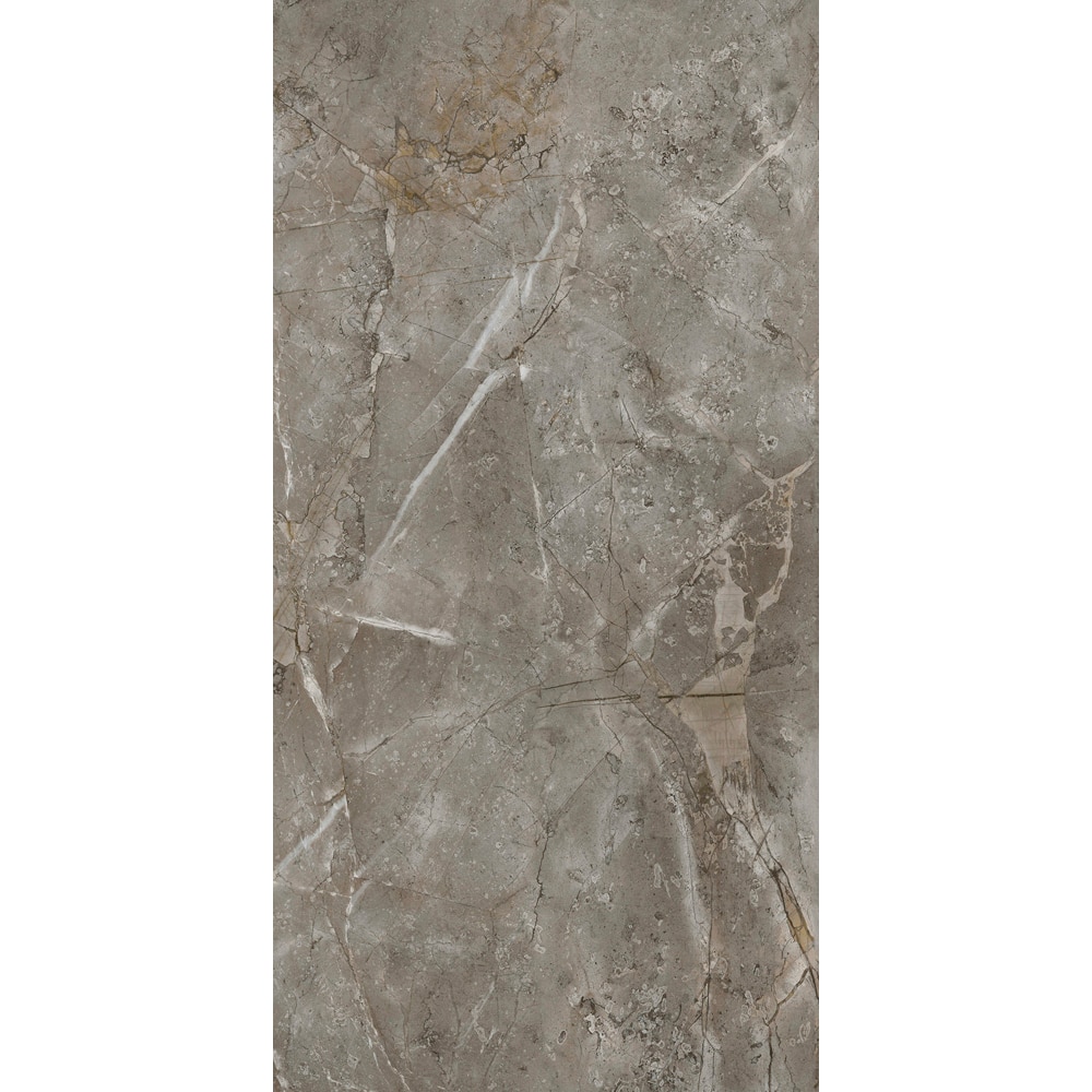 Panou decorativ Marble Skin Vilo, SPC, 60 x 120 cm, taupe