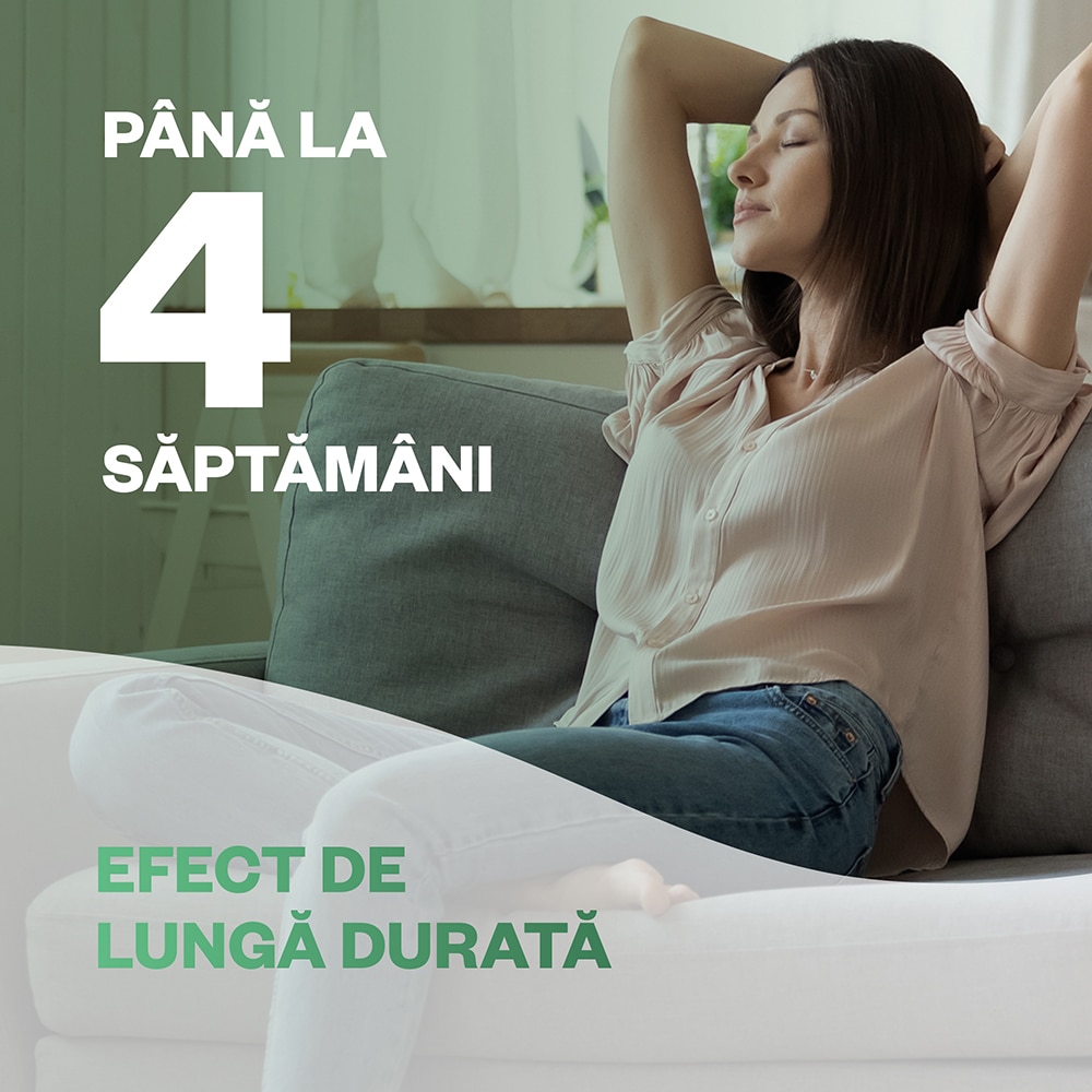 Odorizant cu betisoare AIR WICK, Pere si Scortisoara, 40 ml