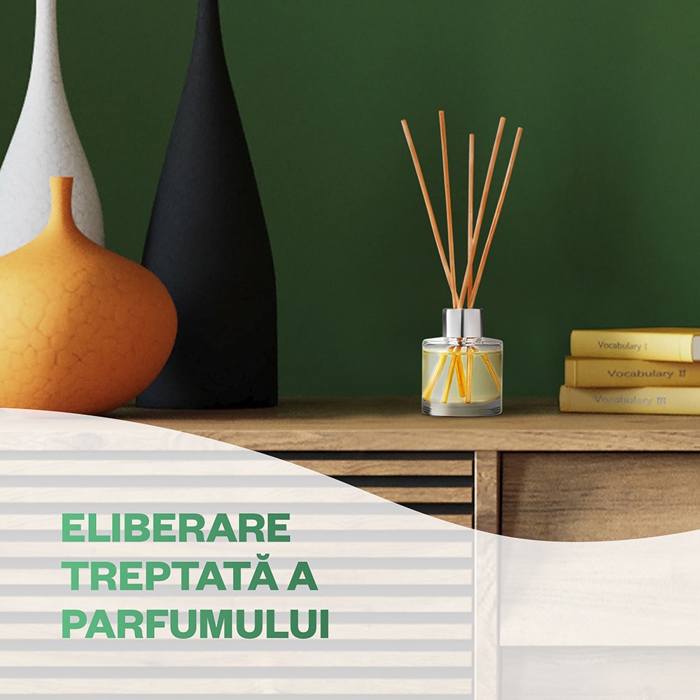 Odorizant cu betisoare AIR WICK, Pepene galben & Frangipani, 40 ml