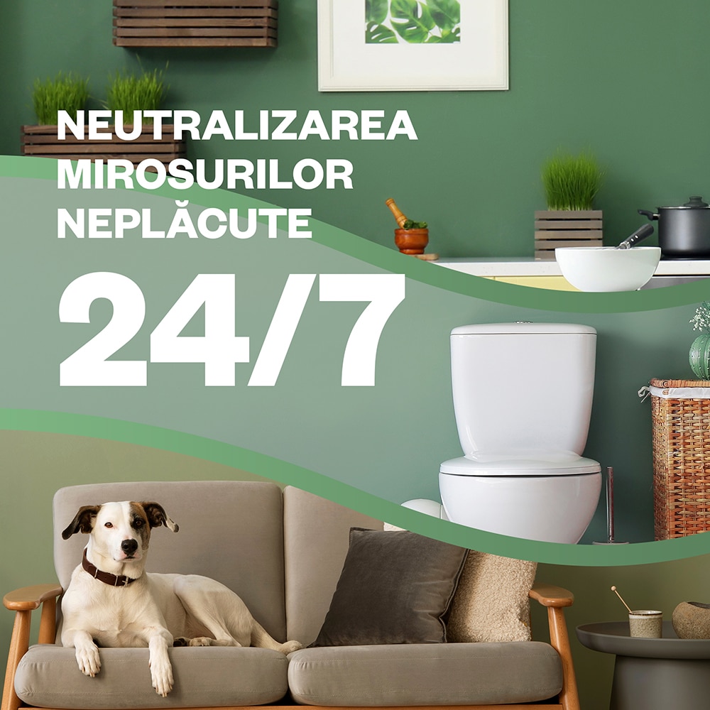 Rezerva odorizant de camera electric AIR WICK, Iasomie inflorita si Frezie, 19 ml